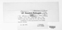 Marssonina medicaginis image